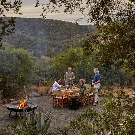 Kwandwe Private Game Reserve - Melton Manor Grahamstown Extérieur photo